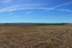 Panoramic