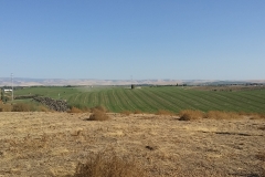View 1